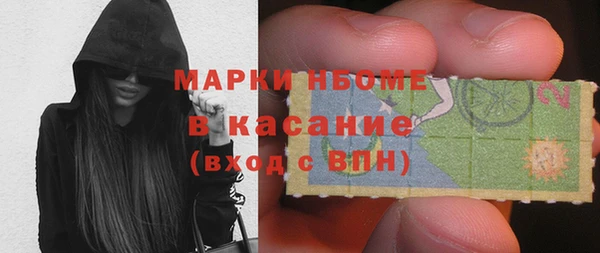 твердый Арсеньев