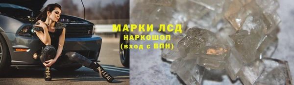 твердый Арсеньев