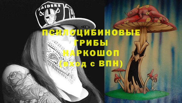 эйфоретик Армянск