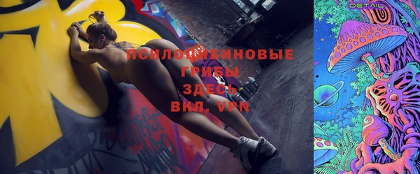 твердый Арсеньев