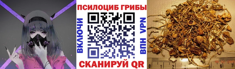 Псилоцибиновые грибы прущие грибы Ужур